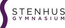 stenhus-logo-web-2017 copy